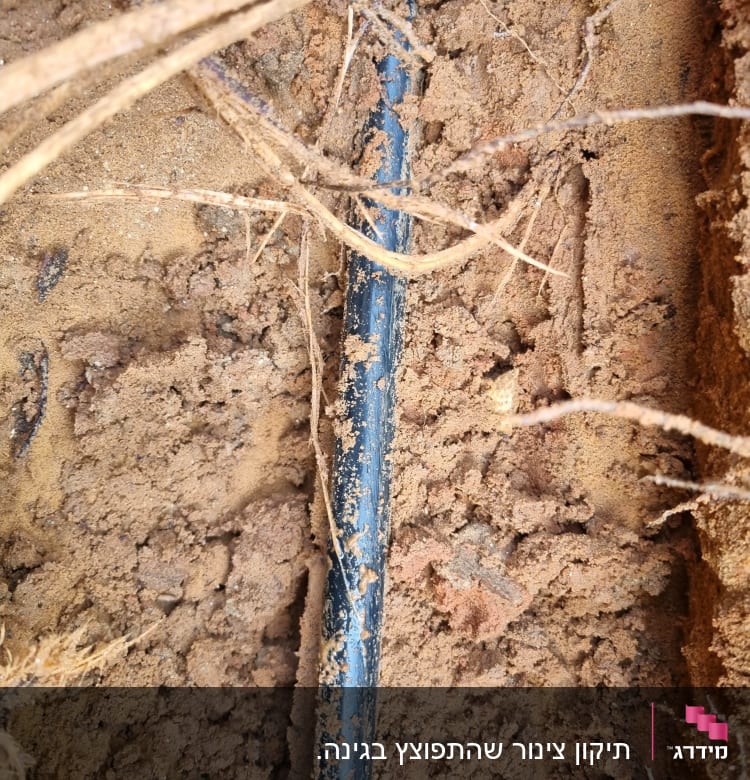 צינור פלסטיק שחור באדמה חפורה